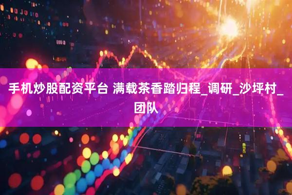 手机炒股配资平台 满载茶香踏归程_调研_沙坪村_团队