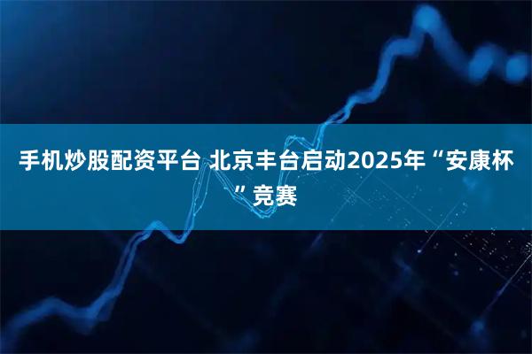 手机炒股配资平台 北京丰台启动2025年“安康杯”竞赛